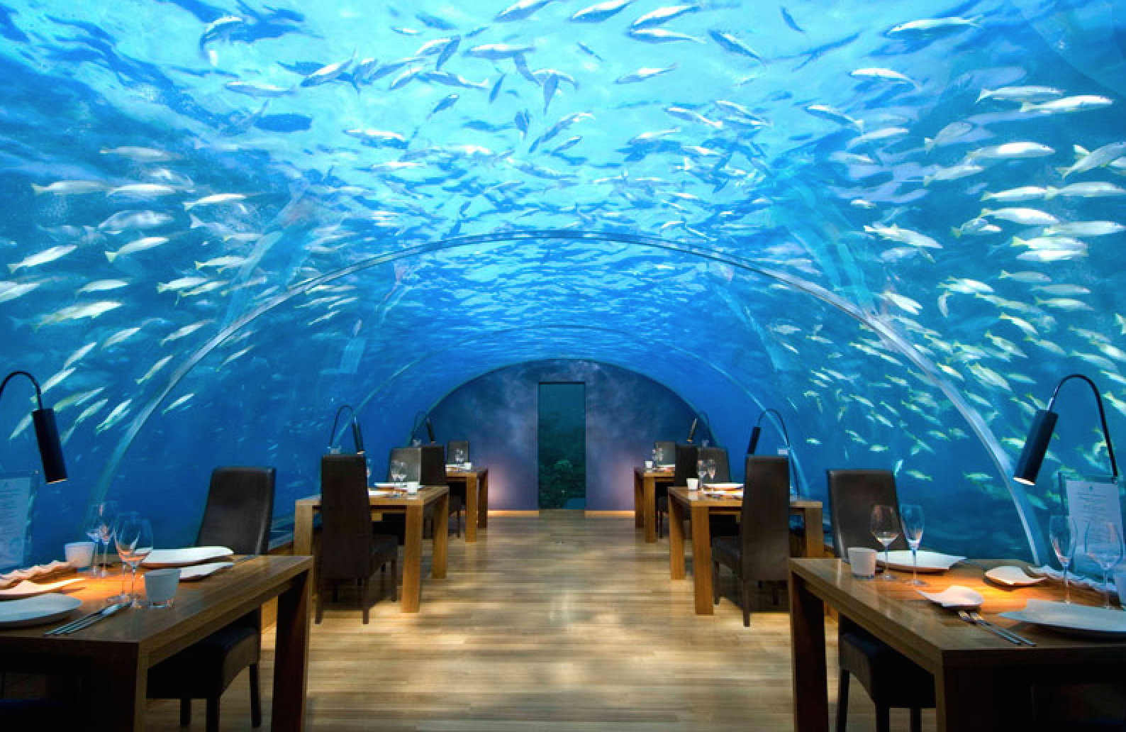 Restaurant sous l'eau Ithaa Undersea au Maldives 