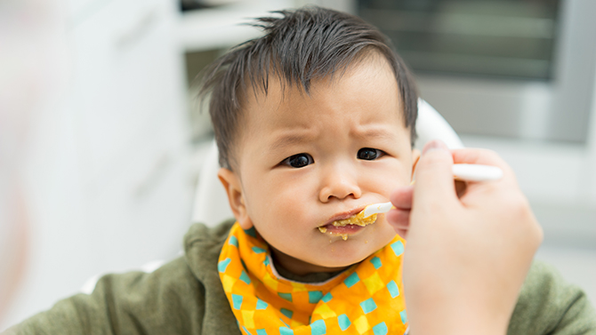 Le Developpement Des Dents De Votre Petit