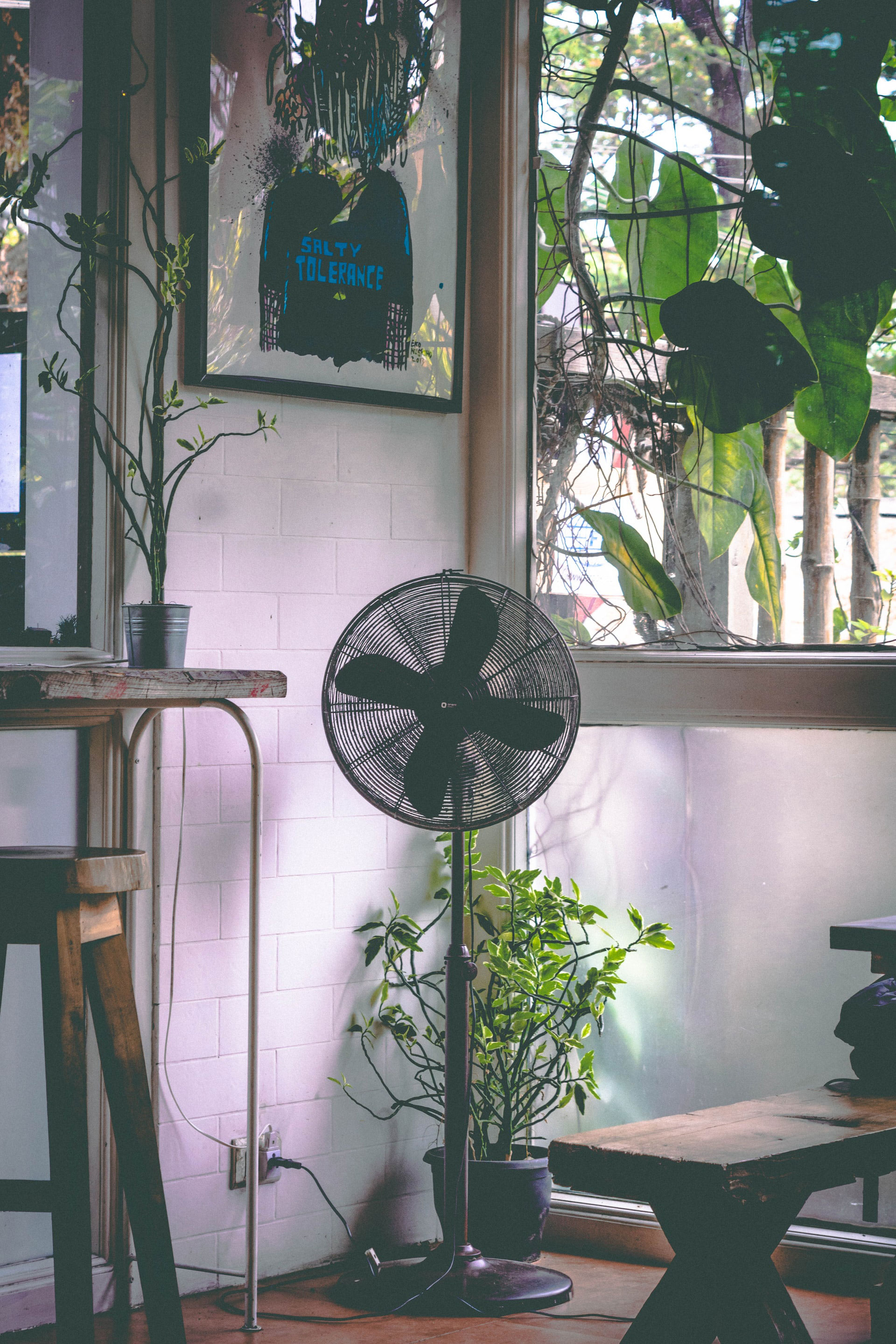 ventilateur avec de nombreuses plantes pour rafraichir la maison pendant la canicule