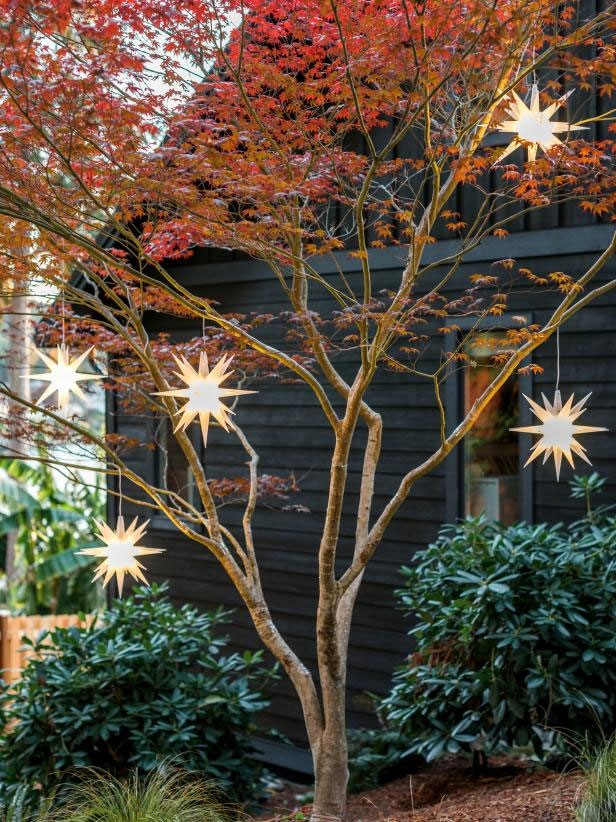 étoiles lumineuses acrochées dans un arbre pour Noël