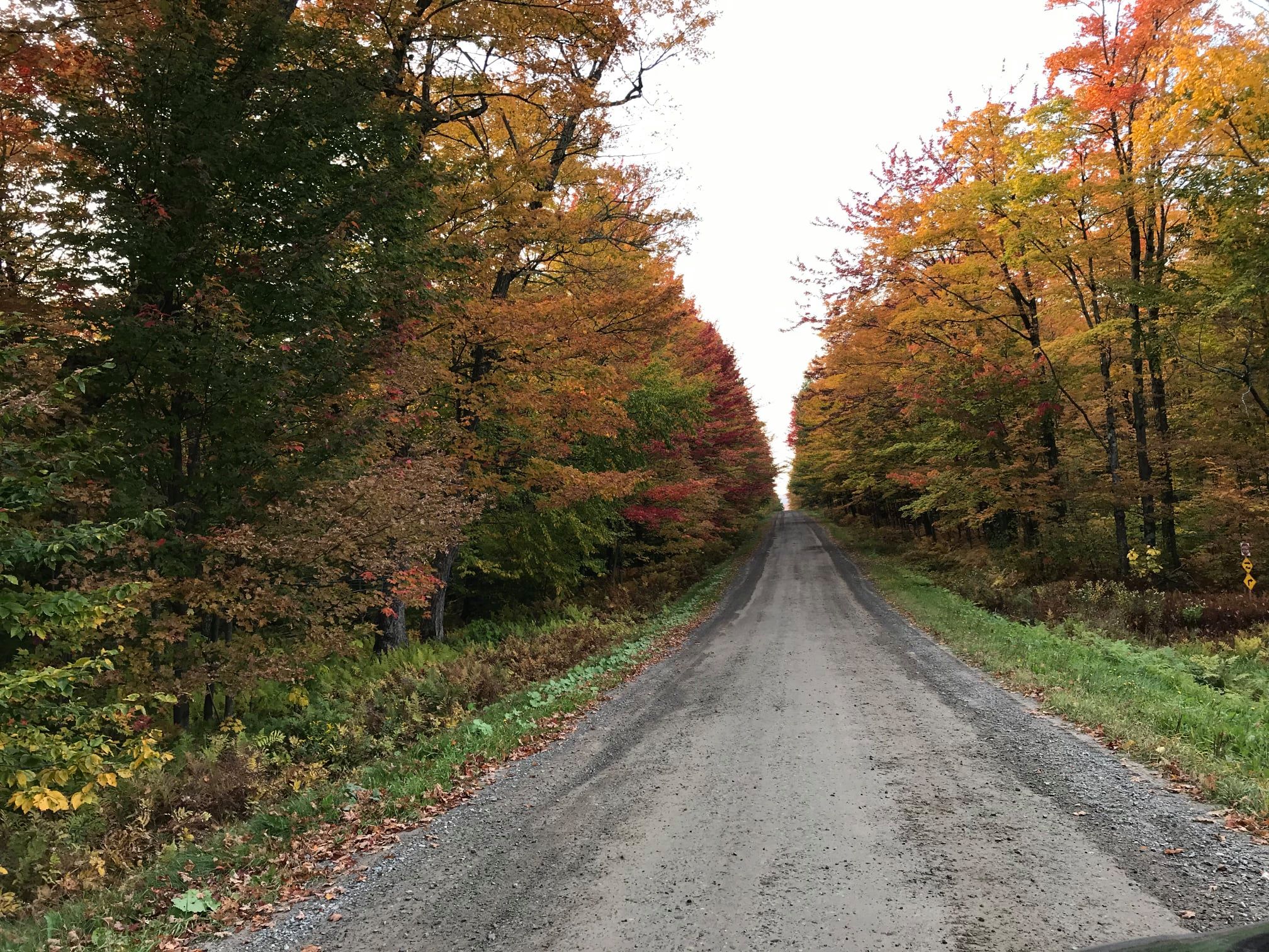 chemin à l'automne sur le Chemin de Saint-Rémi