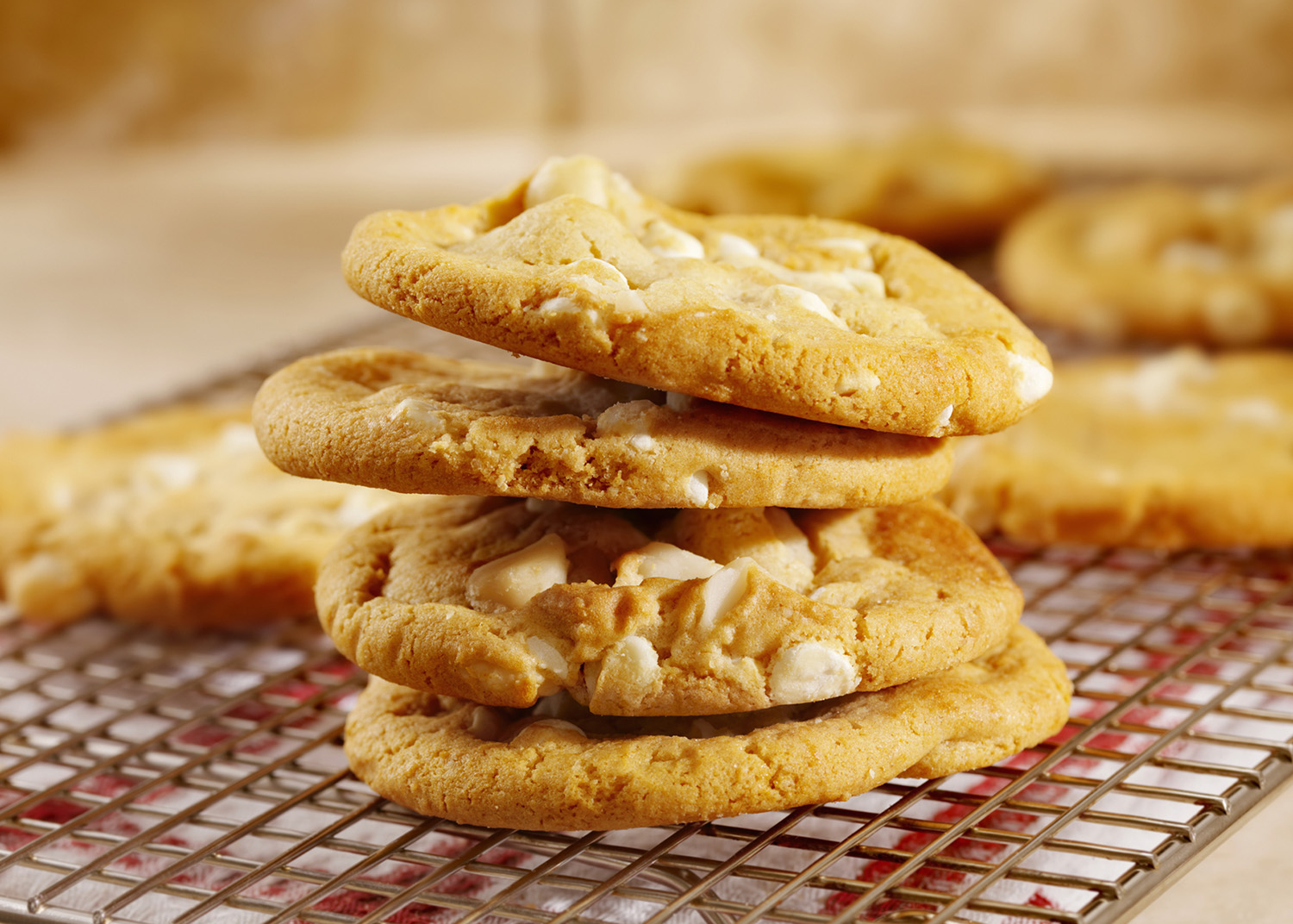 Homemade Macadamia Nut and White Chocolate Cookies Cooling  -Photographed on Hasselblad H3D2-39mb Camera