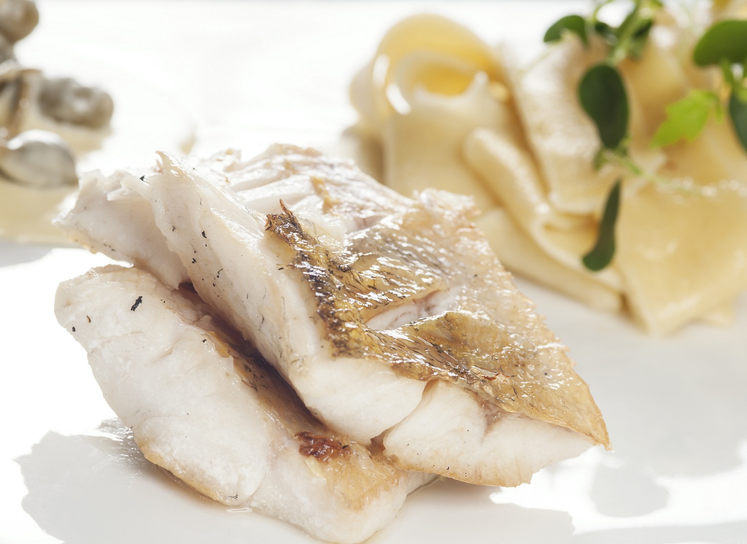 Baked walleye fillet with capers and served with tagliatelle. Shallow dof.
