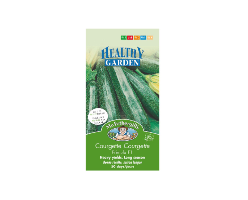 Graines courgettes