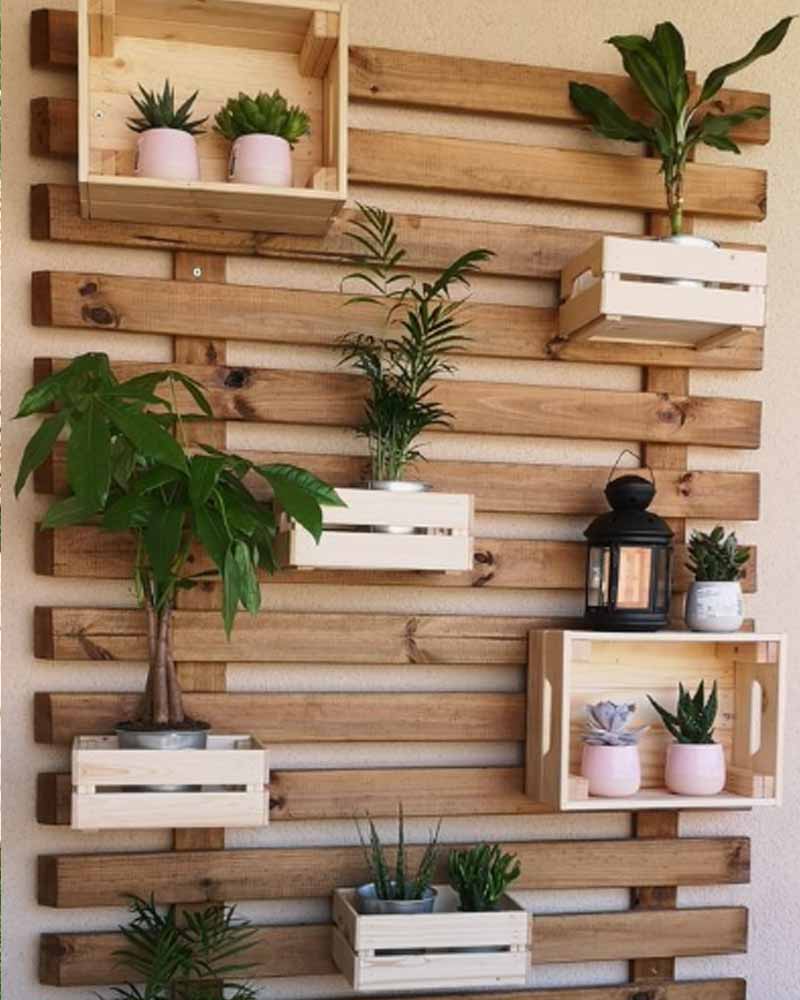 Mur plantes