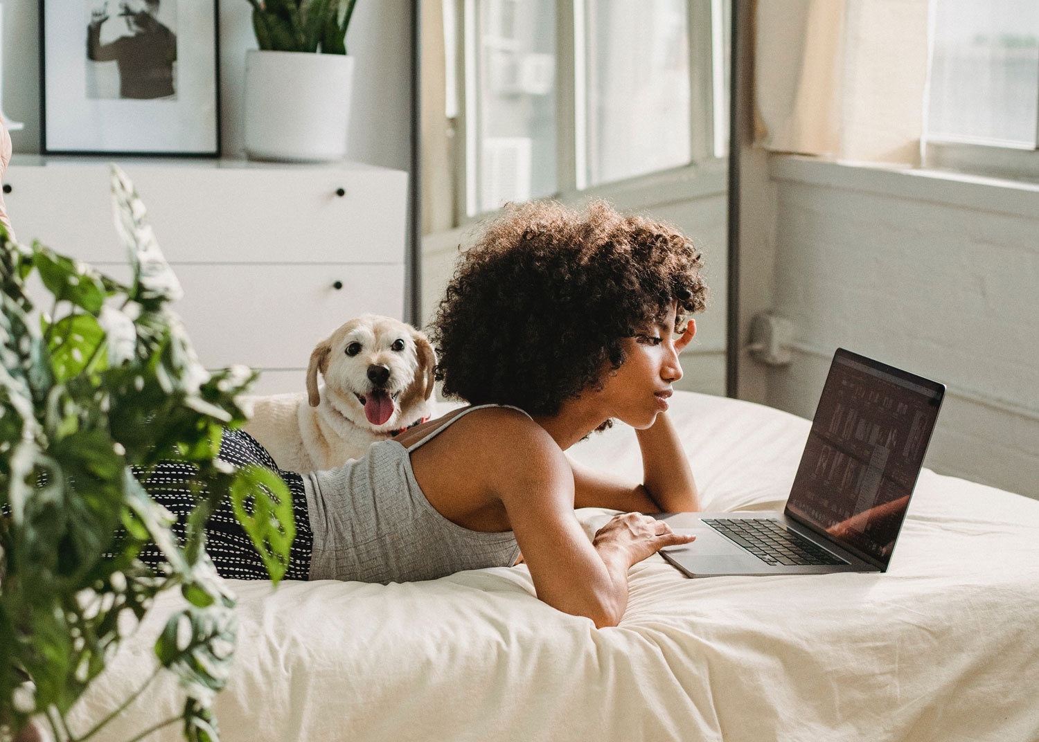 femme magasine en ligne sur ordinateur avec son chien sur son lit