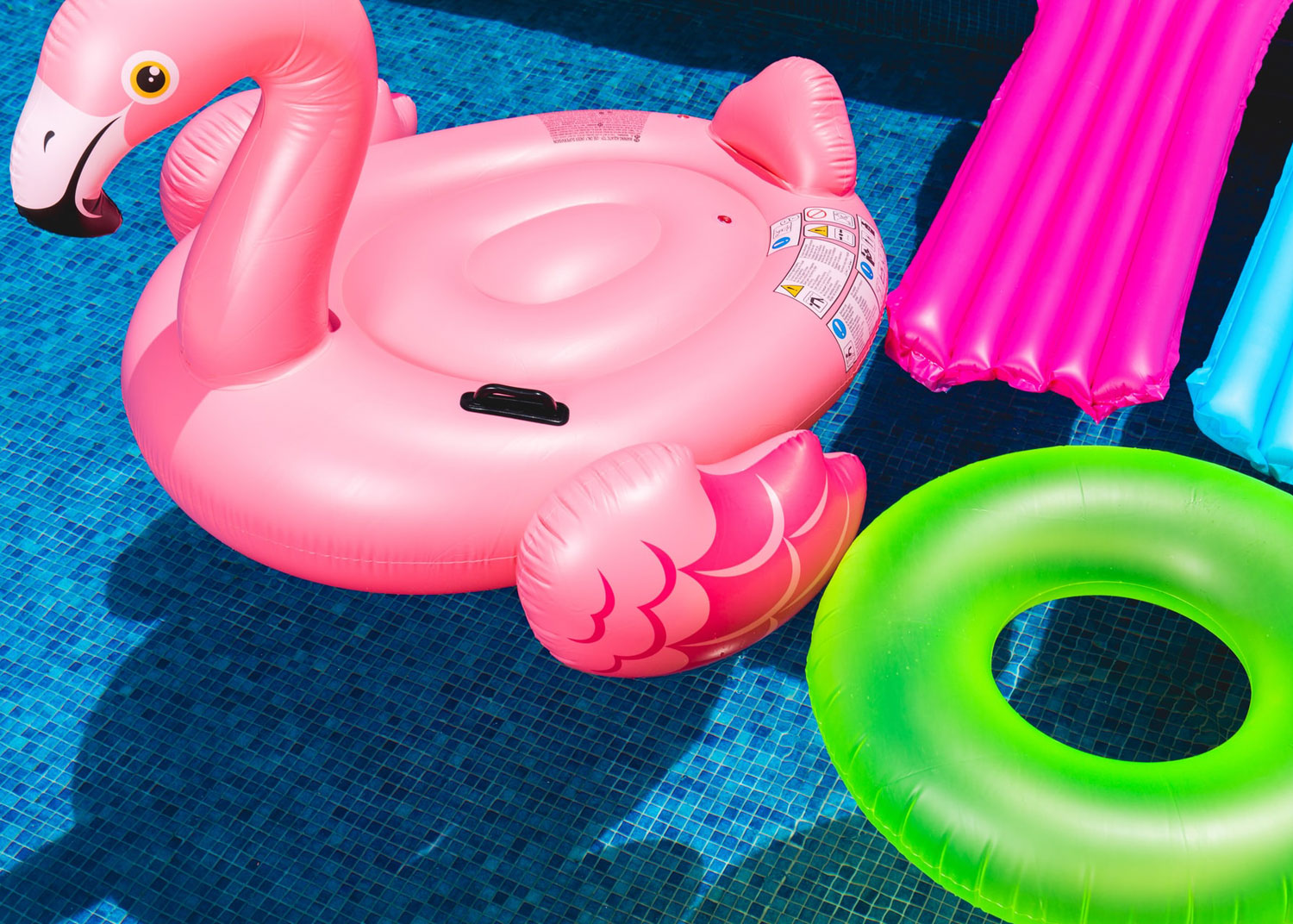 Flotteurs de piscine variés et colorés