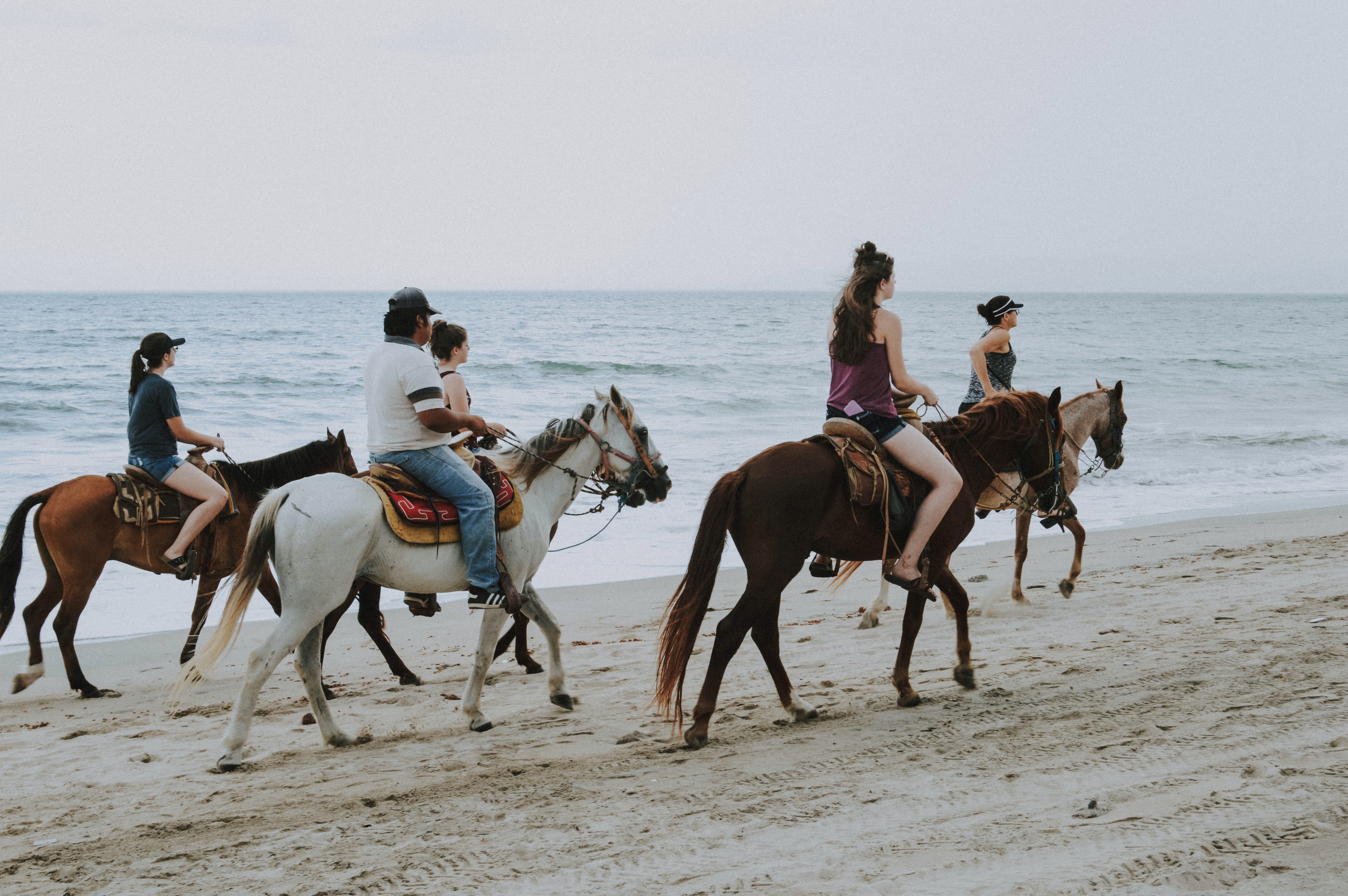 Tours de chevaux sur la plage