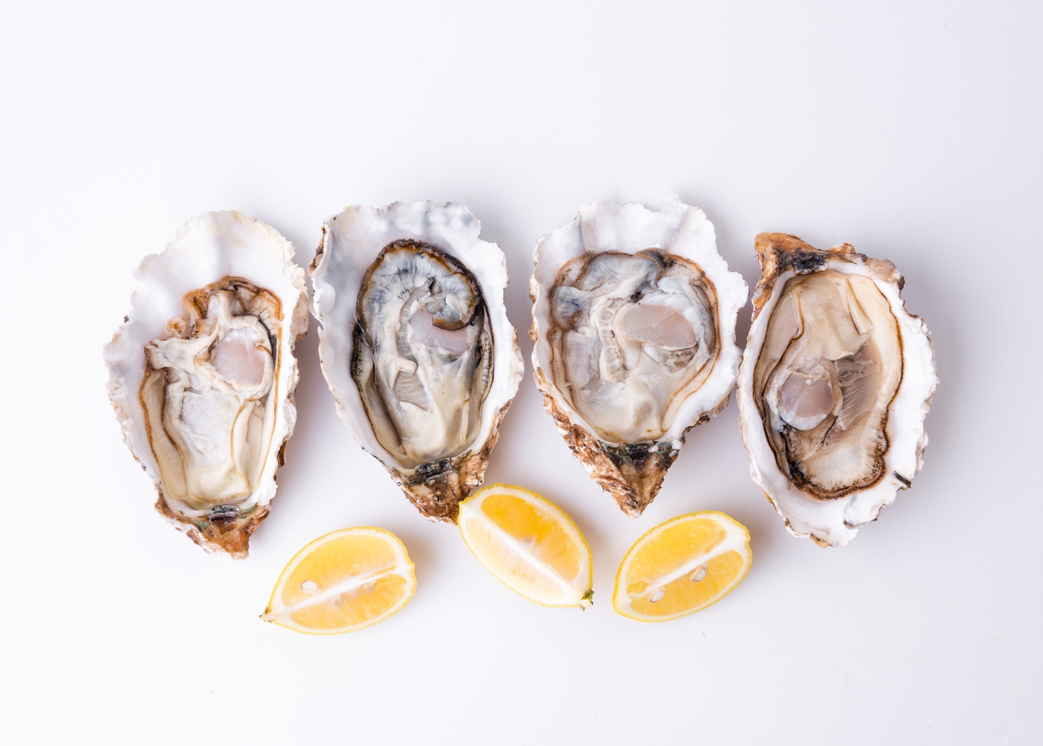 Huîtres recettes, bienfaits, conservation, précautions et plus