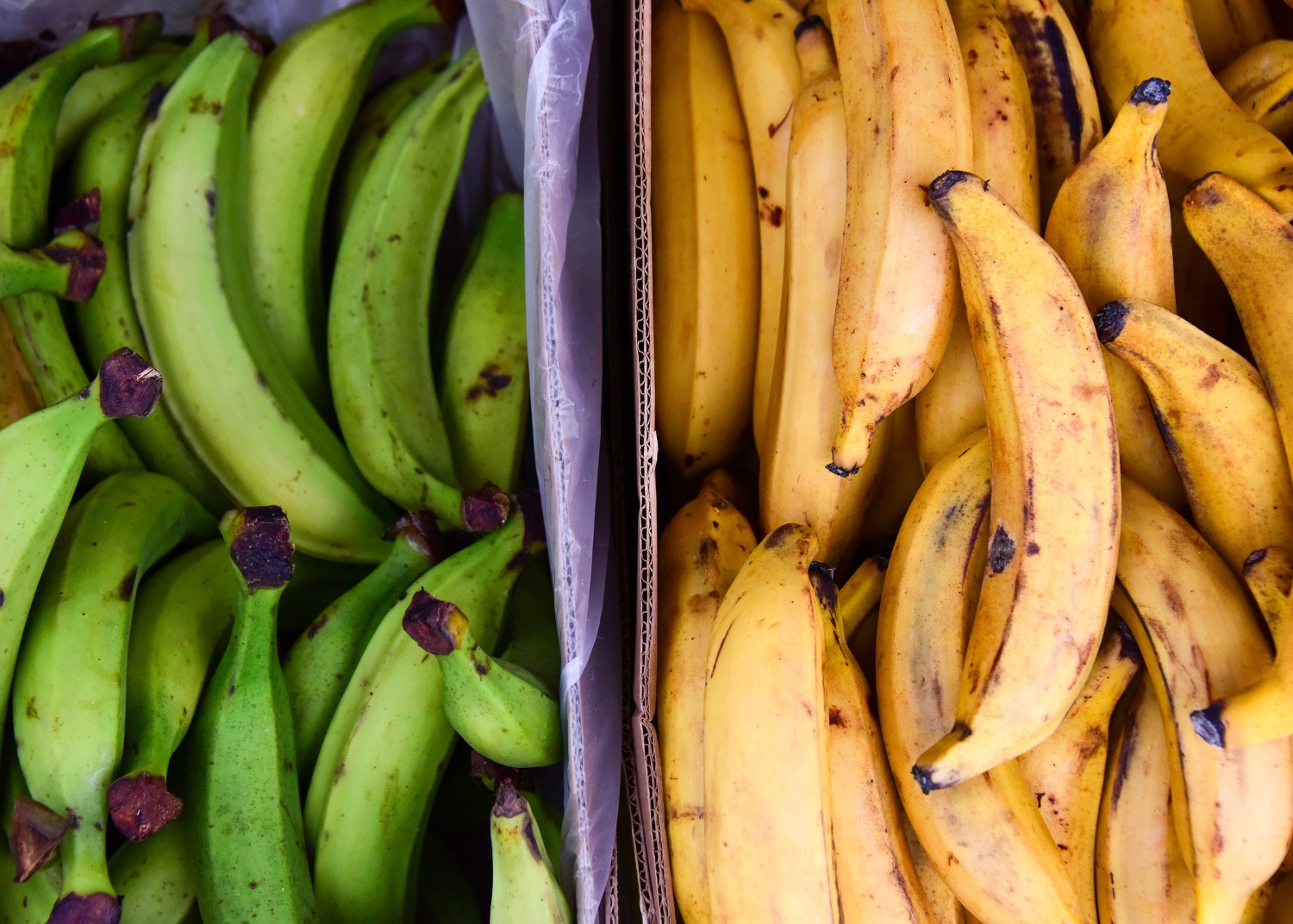 Banane plantain valeur nutritive, bienfaits santé, idées recettes