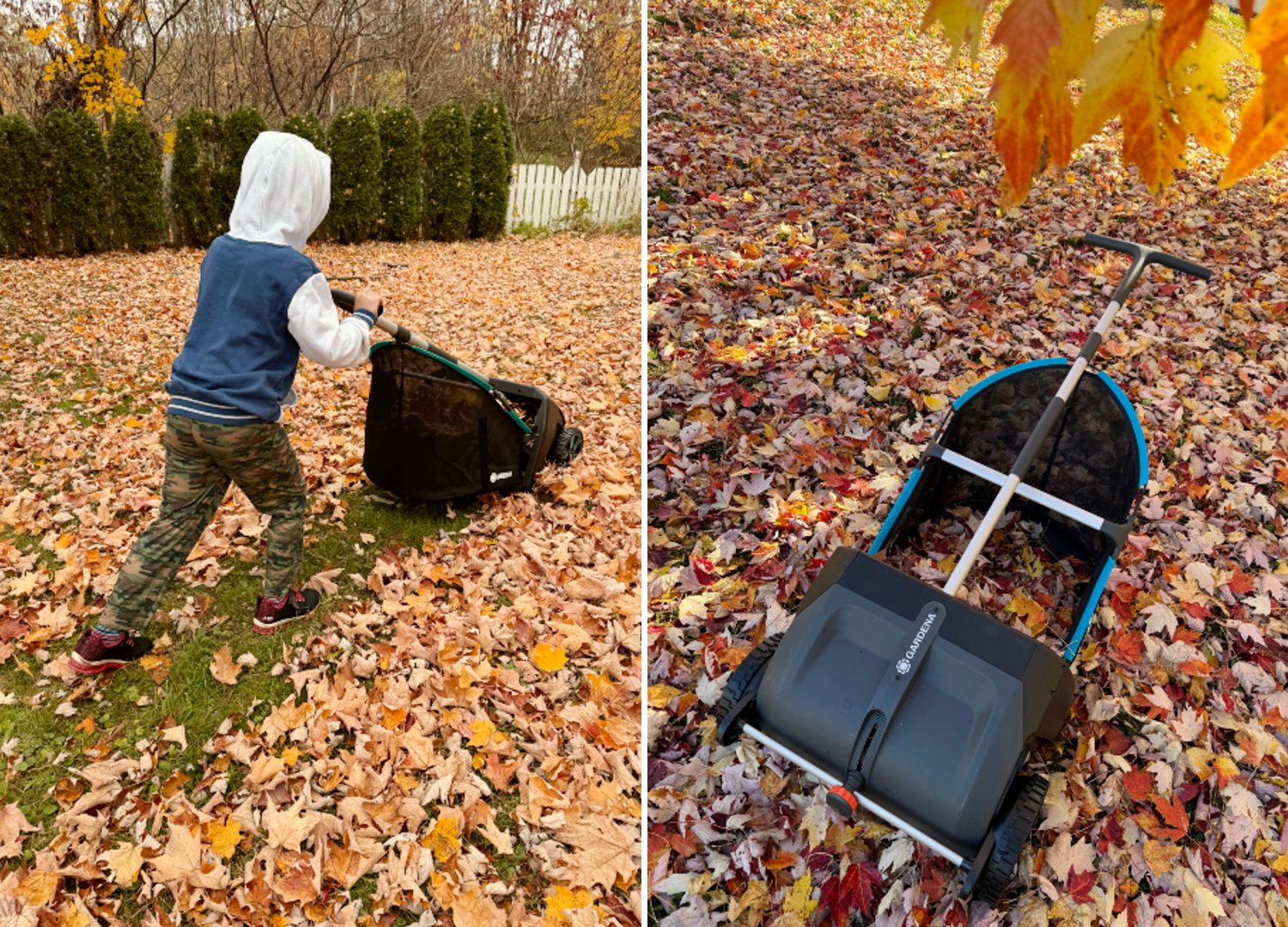 J'ai mis à l'essai cette machine à ramasser les feuilles : un outil pratique et efficace