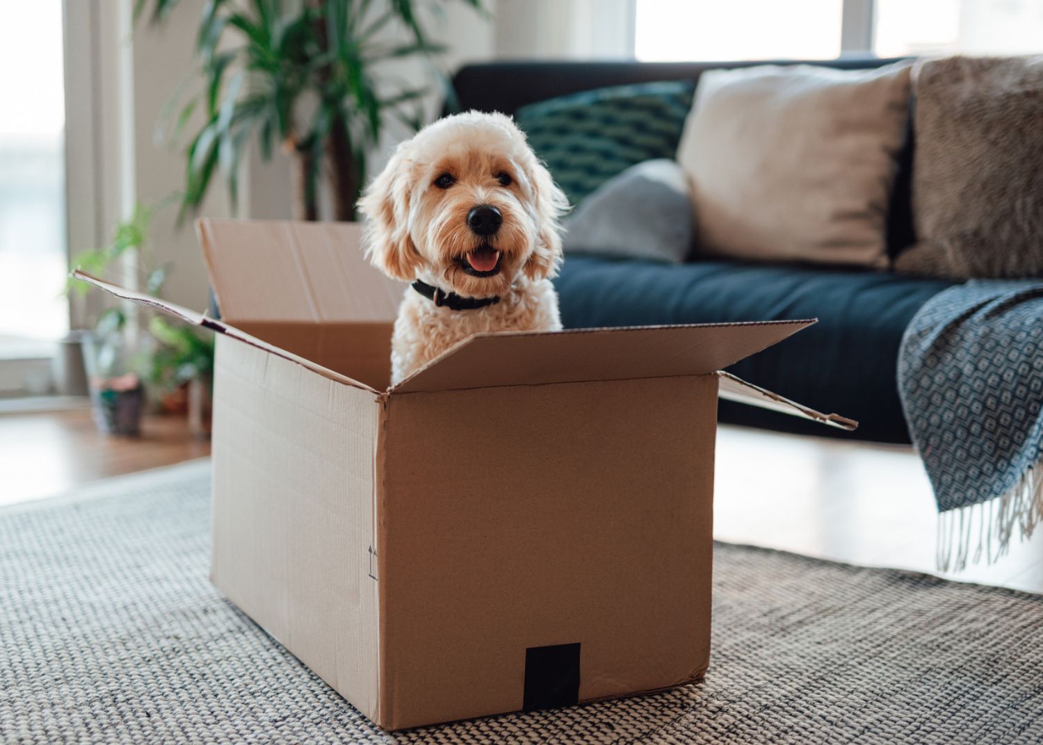 Acheter une maison en solo, c’est encore possible en 2024?