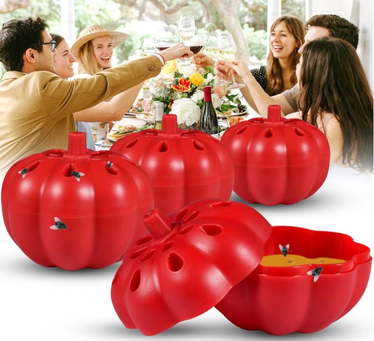 Nos Solutions Pour Lutter Contre Les Mouches Sur La Côte D'Azur - Ici