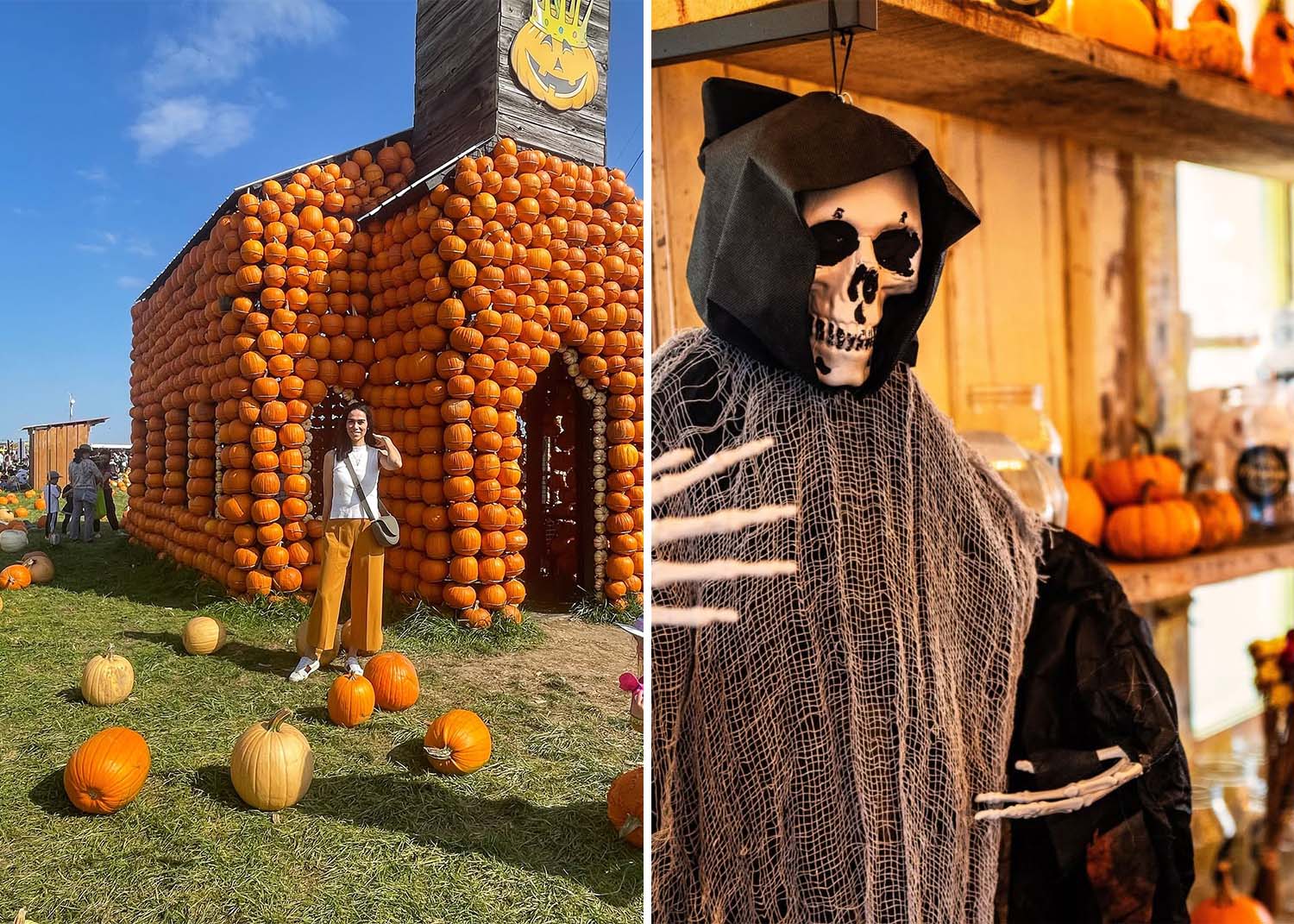 15 activités d’Halloween à faire pendant le mois d’octobre à Montréal et dans les environs