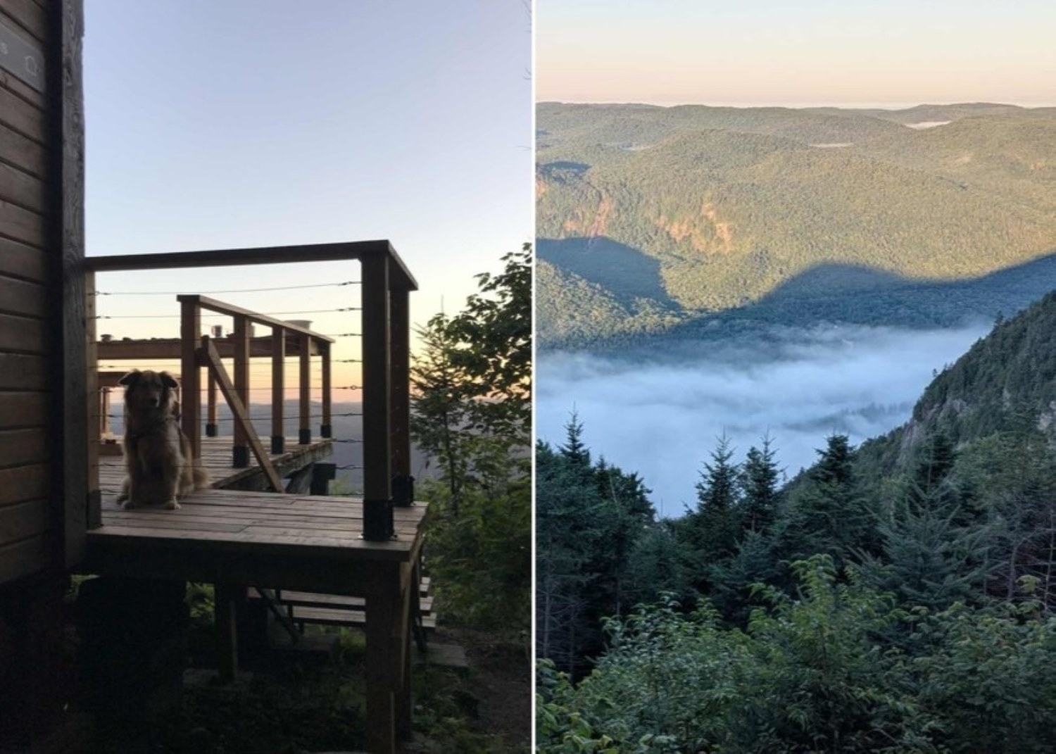 À 1 heure de Québec, voici où marcher et dormir au sommet, même avec votre chien