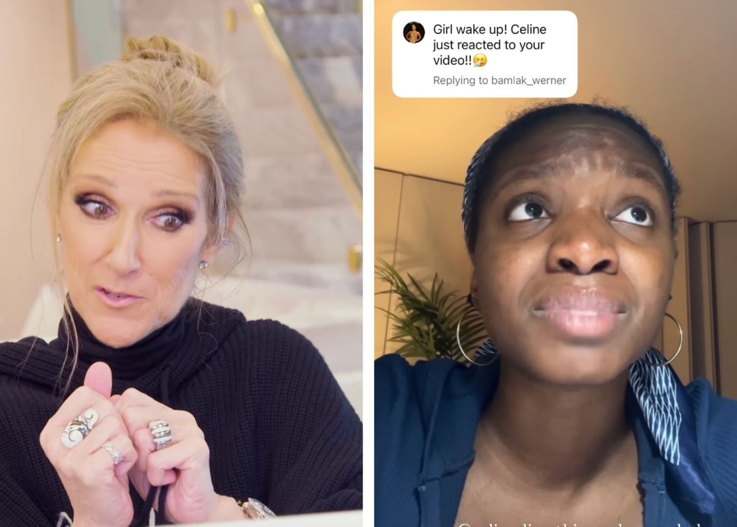 Rising Star Sends Message to Celine Dion Rising Star Sends Message to Celine Dion