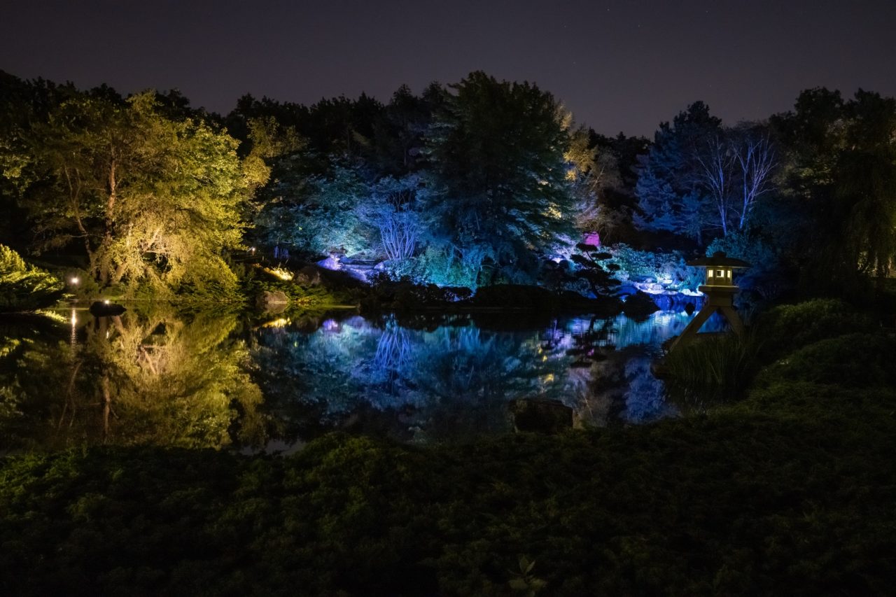 Jardins de lumière Jardin botanique Jardin japonais
