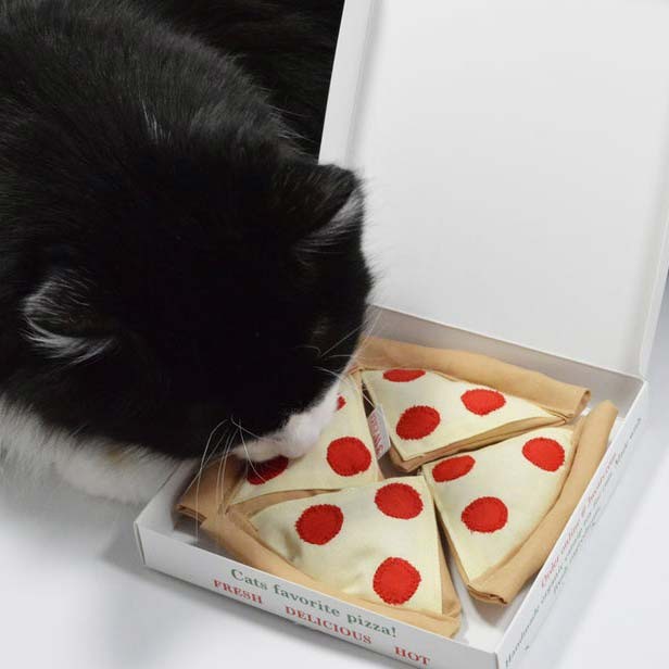 Pizza catnip pour chat