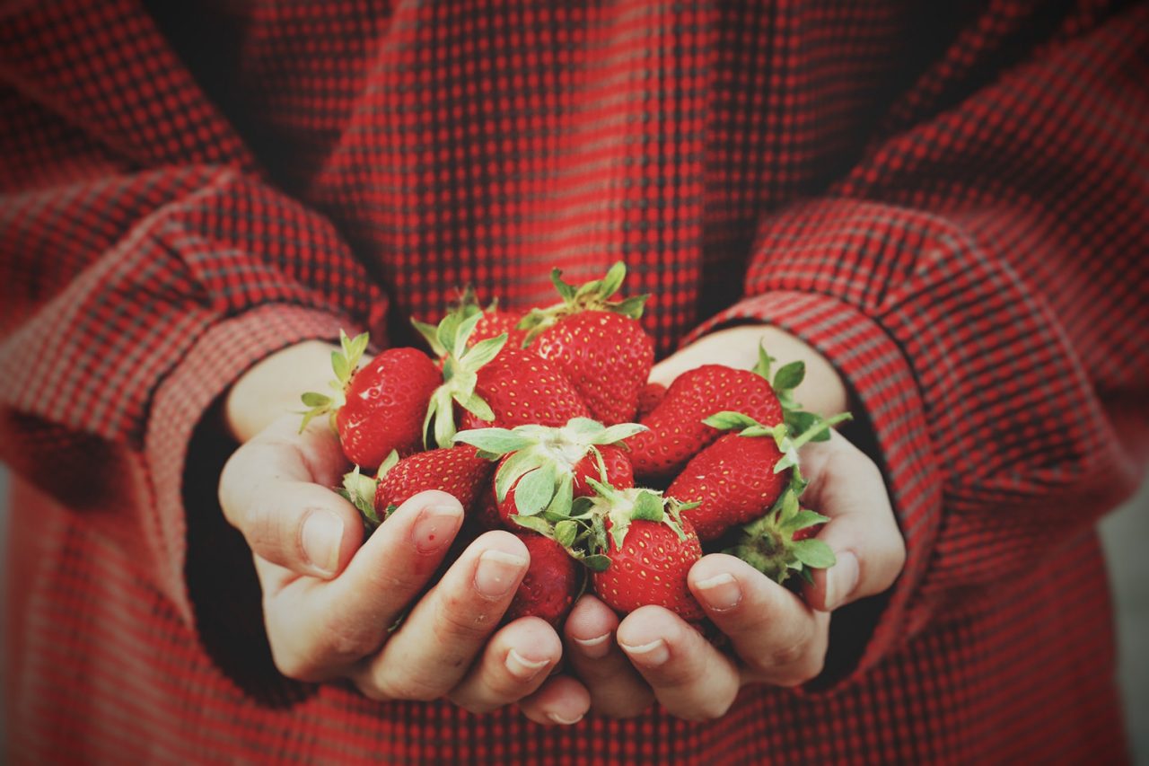 Femme qui tient des fraises dans ses mains