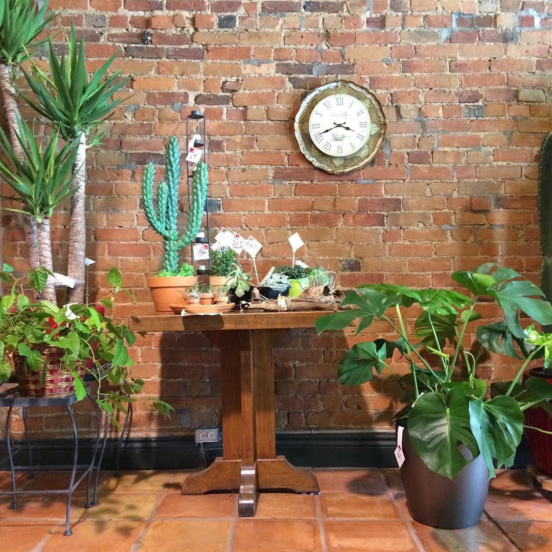 10 boutiques où acheter des plantes et des fleurs à Montréal