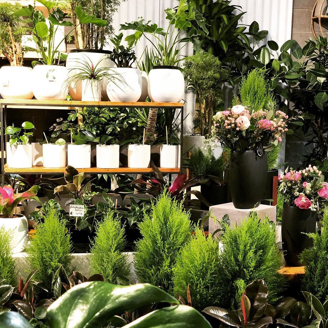 Vertuose, boutique de plantes et fleurs