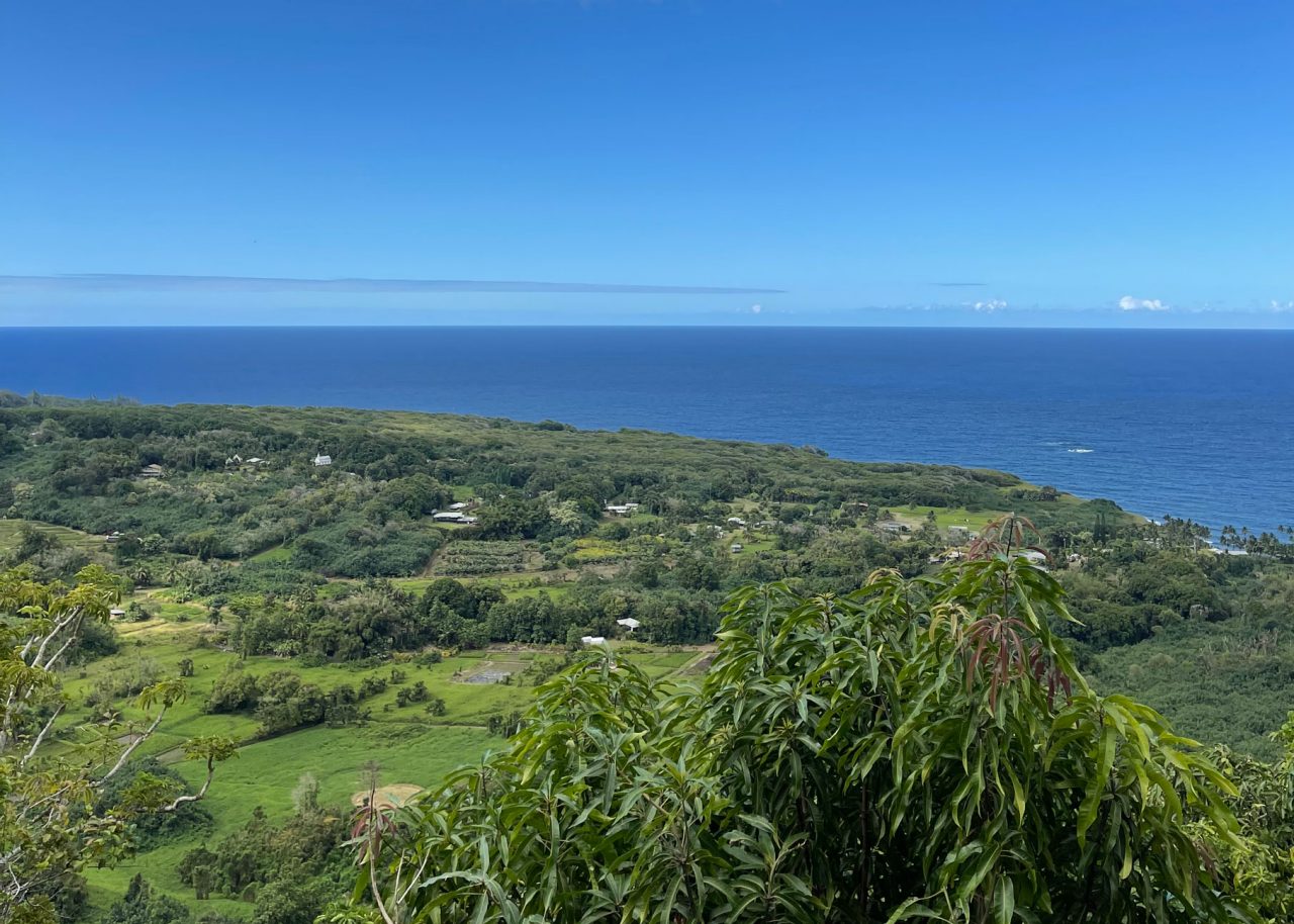 Quoi visiter à Maui, Hawaï? Voici les incontournables de Cath Peach!