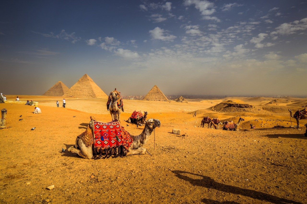 Promenade en chameau dans le désert, Égypte.