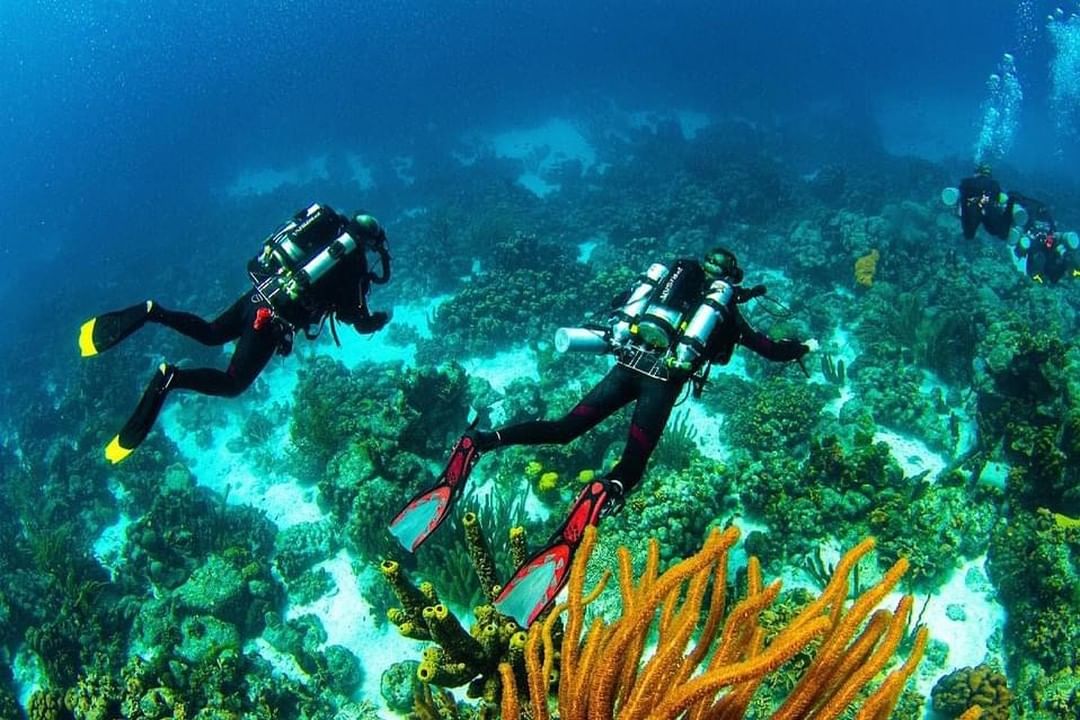 Plongeurs sur l'île de Bonaire