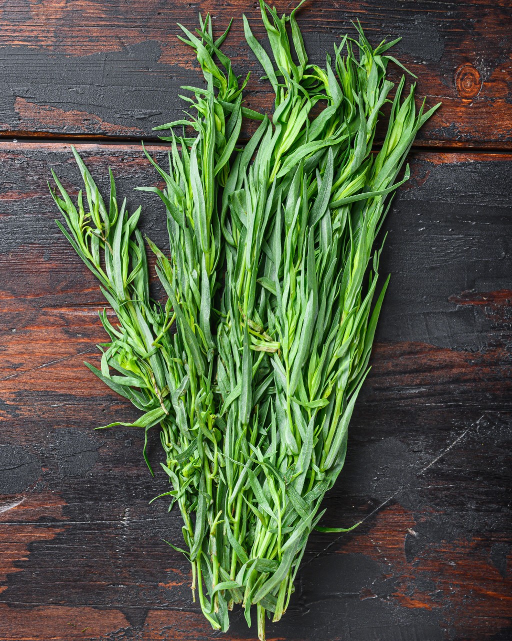 Estragon valeur nutritive, bienfaits santé, recettes, conservation