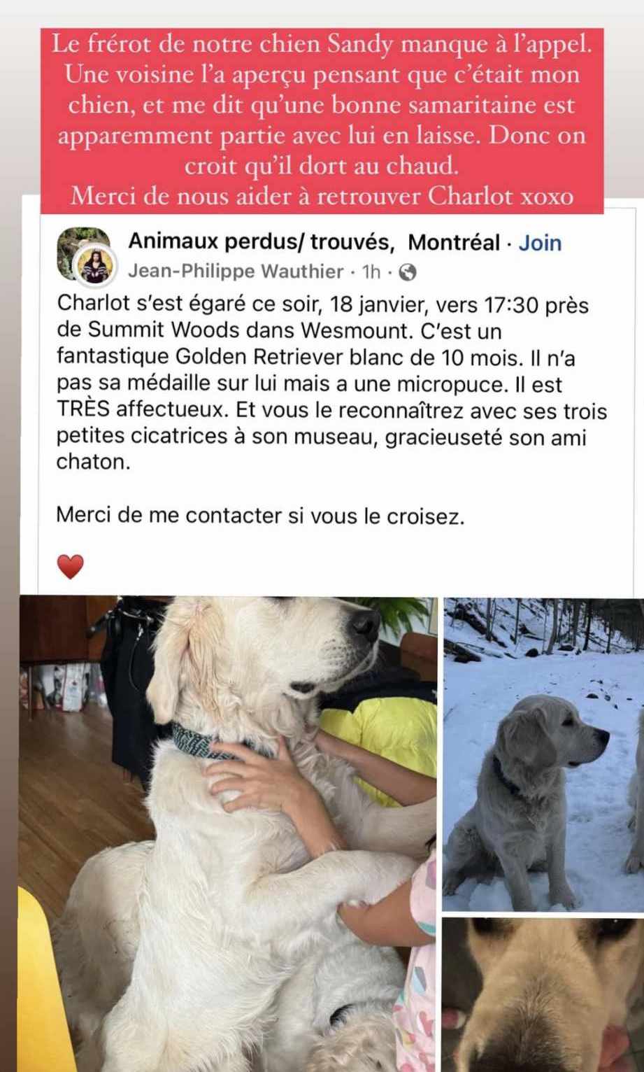 JeanPhilippe Wauthier demande l'aide du public