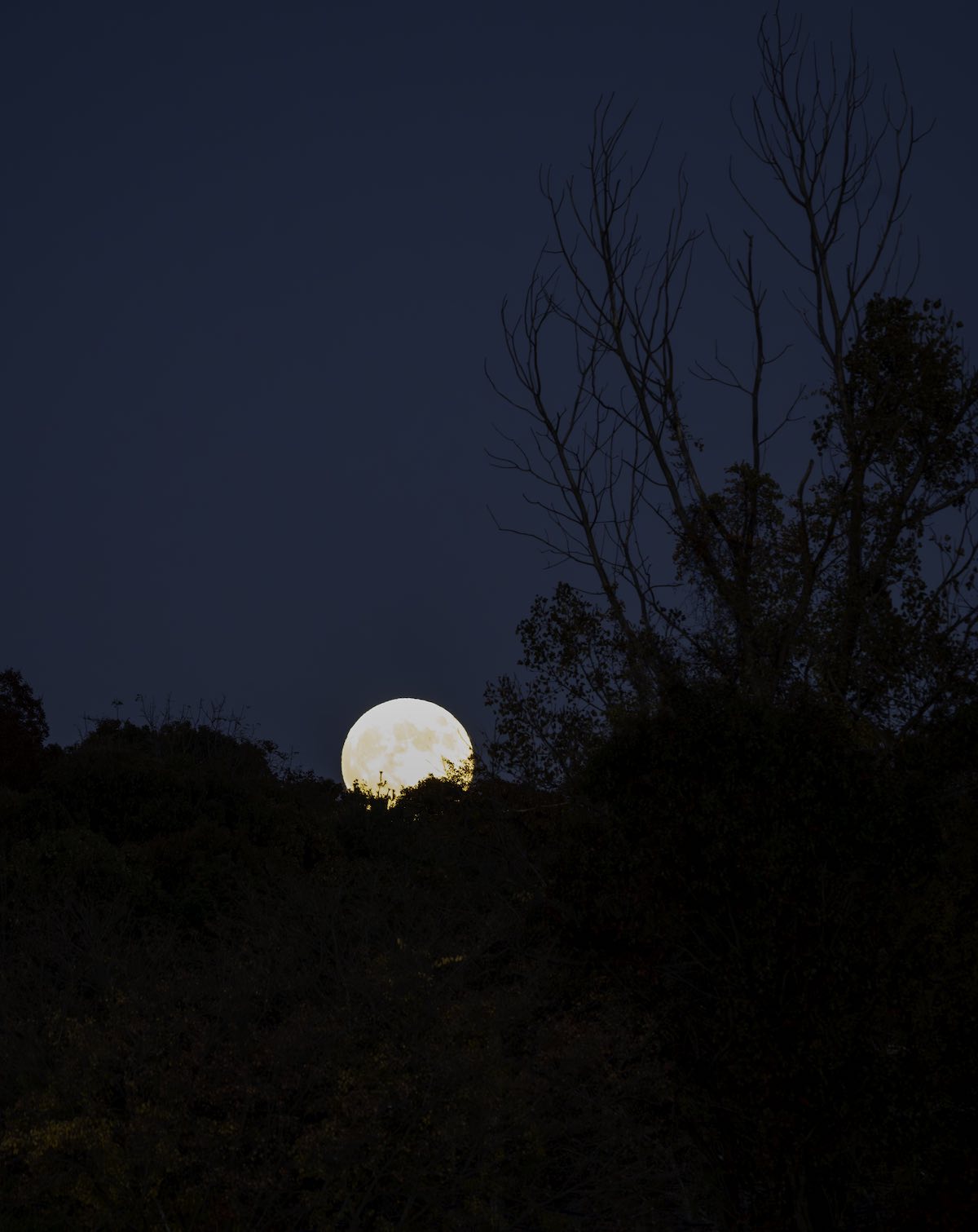 Full moon rise on October 28, 2023.