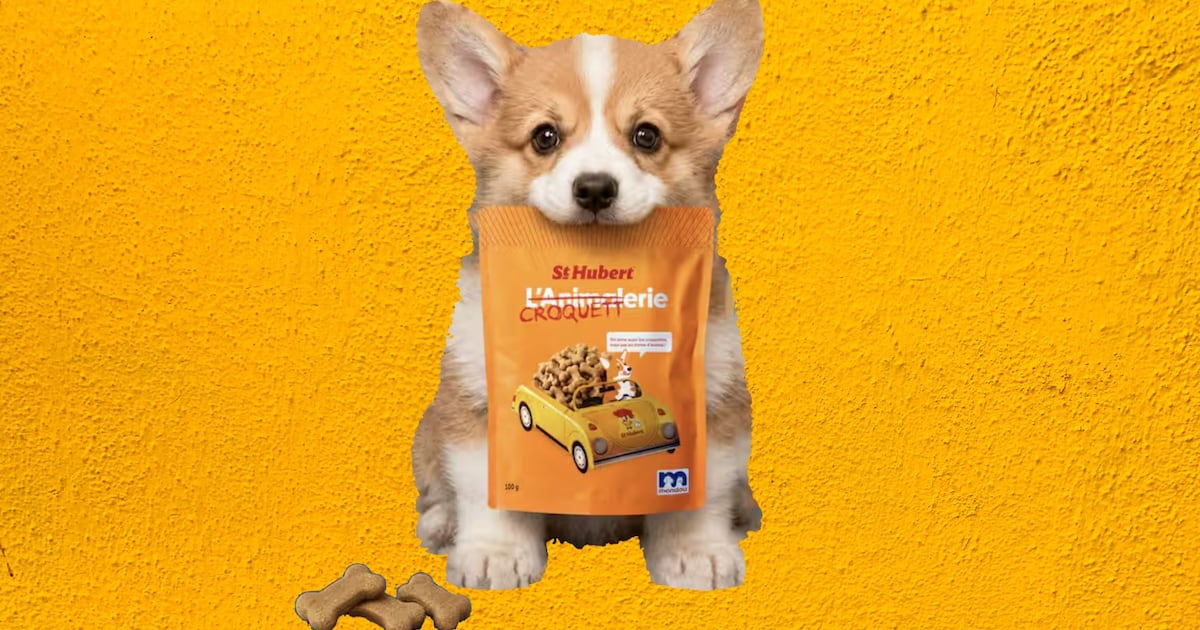 La Croquetterie : des gâteries saines pour récompenser son chien