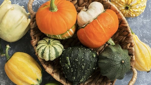 5 choses que vous ne saviez pas sur les courges