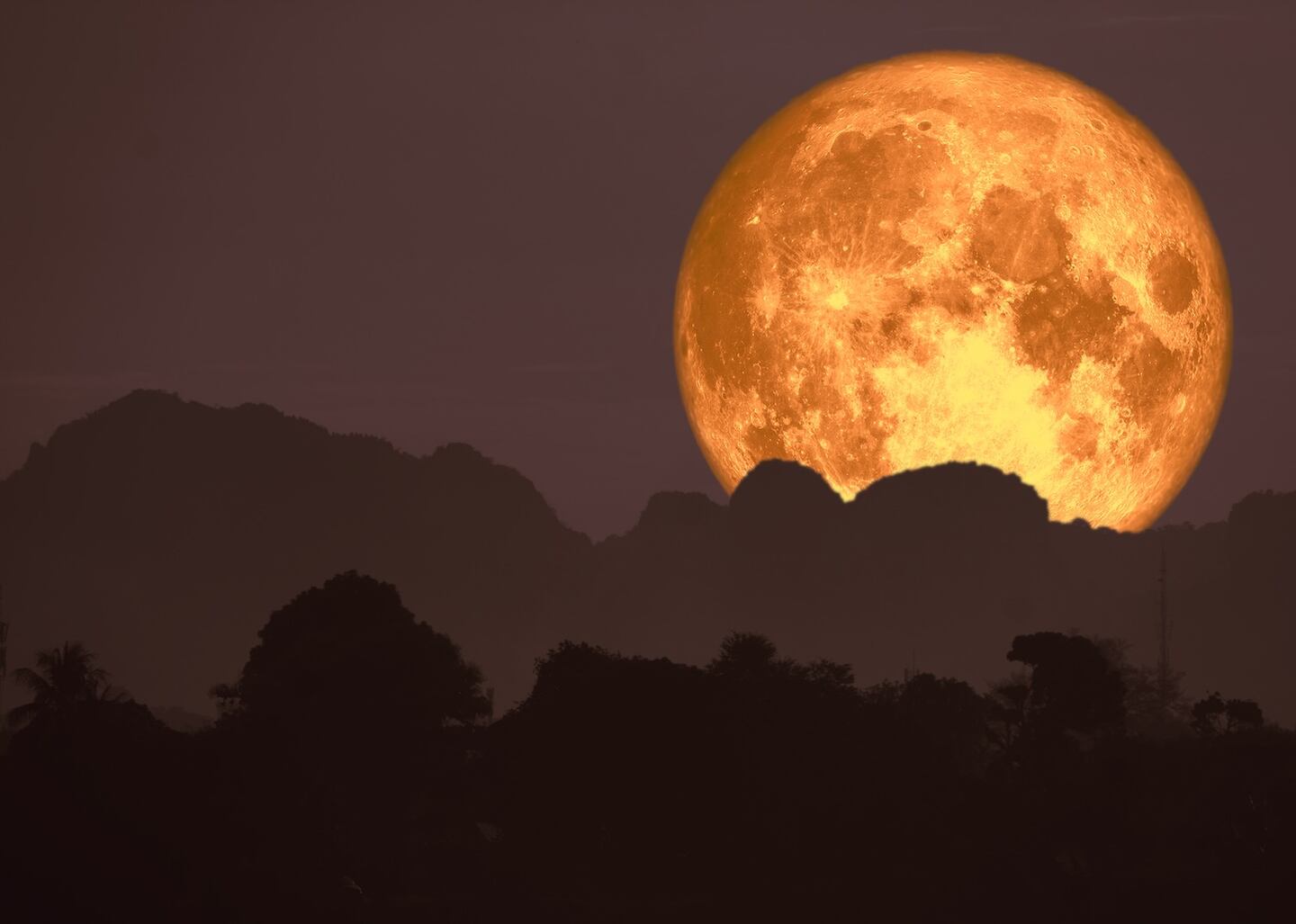May 2026 Opens with a Scorpio Flower Moon, a Rare Double Full Moon Month — image 2