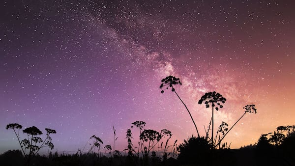Horoscope de juin: un mois de transformation, d’éveil et d’évolution intérieure