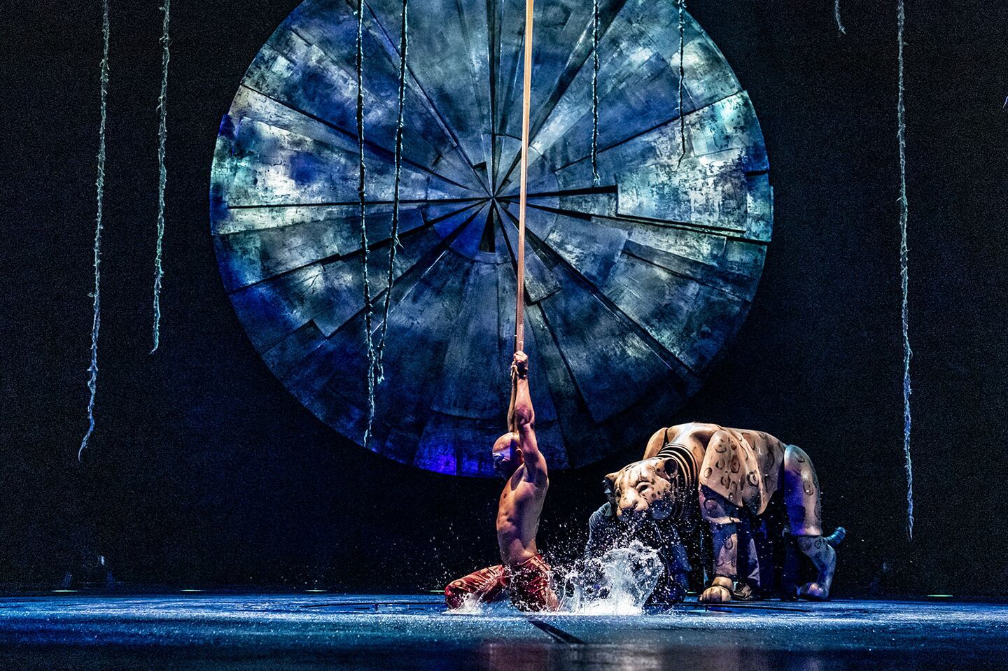 J’ai vu LUZIA du Cirque du soleil et je vous dis TOUT!