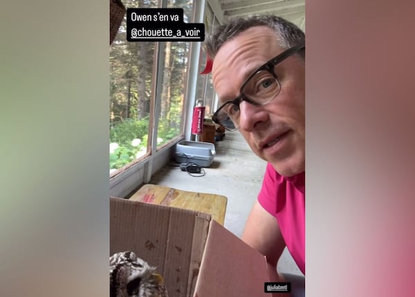 David Laflèche vient au secours d’une chouette majestueuse, voyez les images