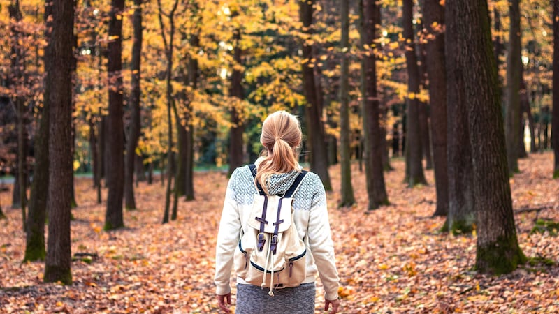 Cette carte vous indique où admirer les plus belles couleurs d’automne