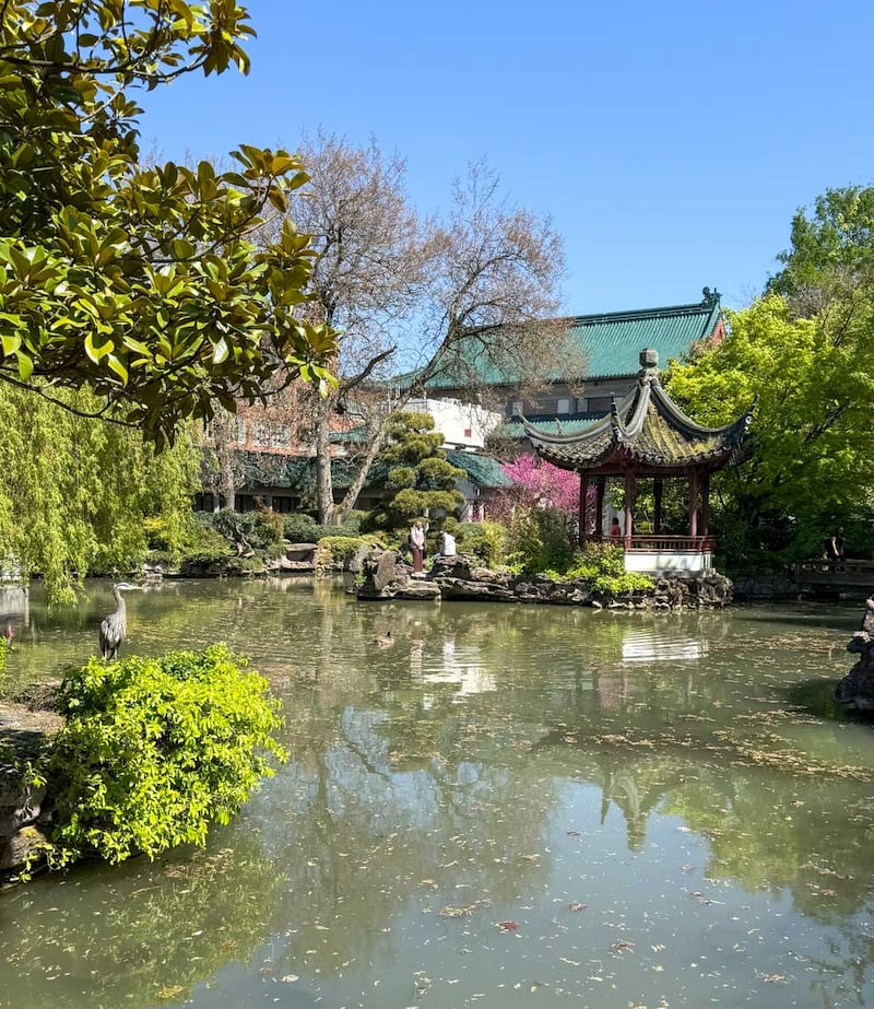 Jardin chinois - Vancouver
