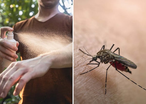 Les 9 meilleurs chasse-moustiques et gadgets qui éloignent vraiment les maringouins