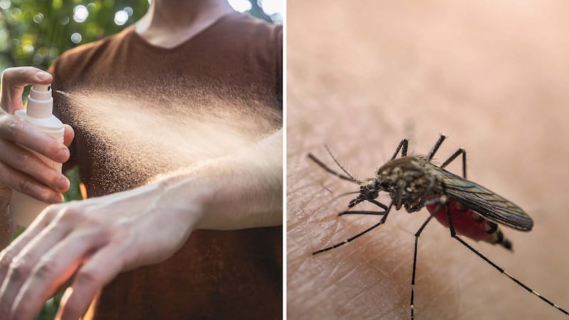 Les 9 meilleurs chasse-moustiques et gadgets qui éloignent vraiment les maringouins