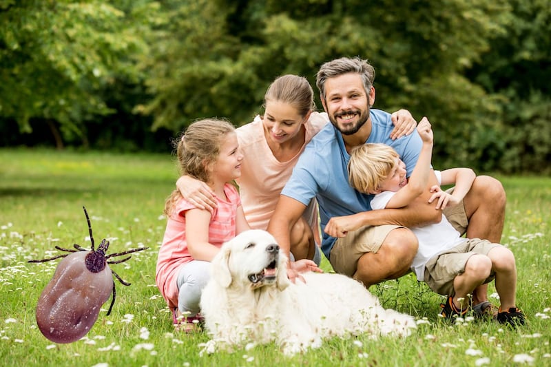 13 produits pour vous protéger des tiques