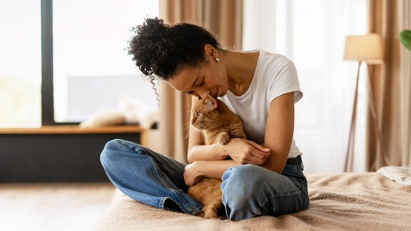 Espérance de vie du chat: comment faire pour qu’il vive le plus longtemps possible