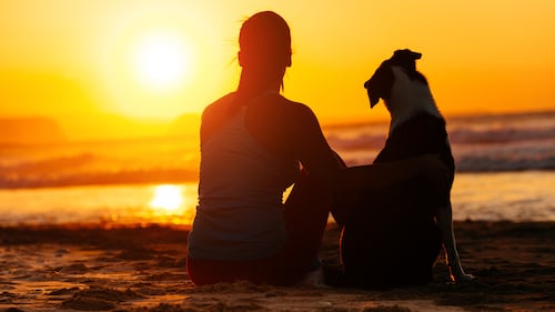 Pourquoi devriez-vous regarder les couchers de soleil plus souvent?