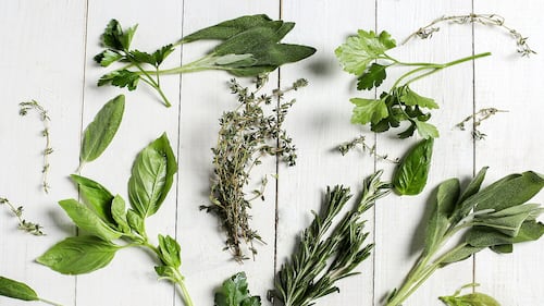Tout ce qu'il faut savoir sur les fines herbes fraîches