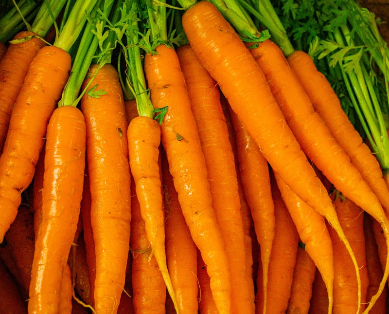 Les carottes : comment les planter, les entretenir et les rcolter