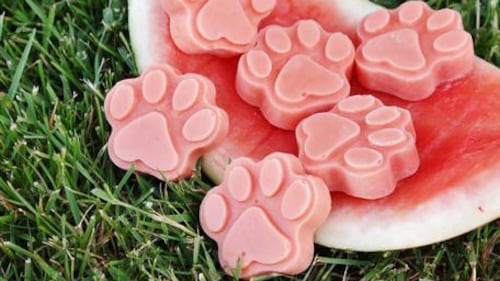 Gâteries glacées au melon d'eau pour chien