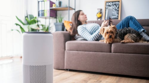 Les 3 meilleurs purificateurs sur le marché d’air suite à nos tests
