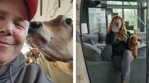 Voyez de nouvelles photos des animaux des vedettes