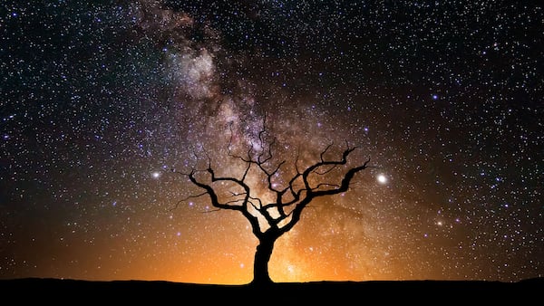 Horoscope chinois pour le mois de mars 2026